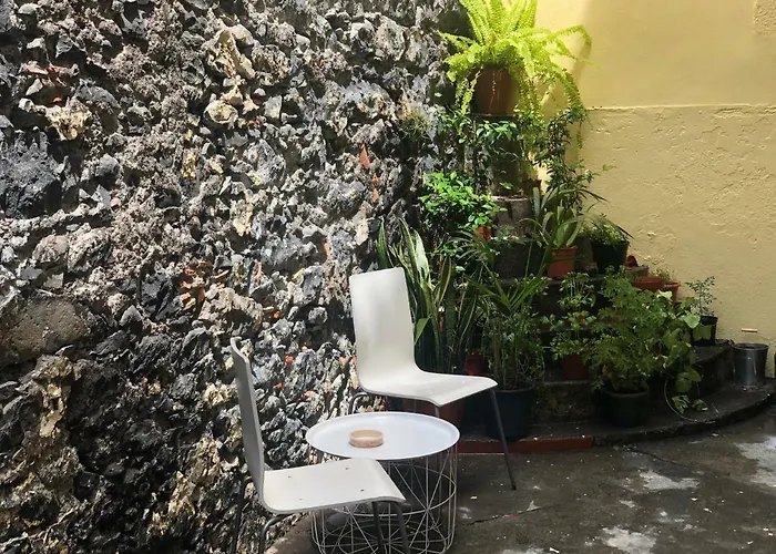 Vandrerhjem Funchal109 Hostel *