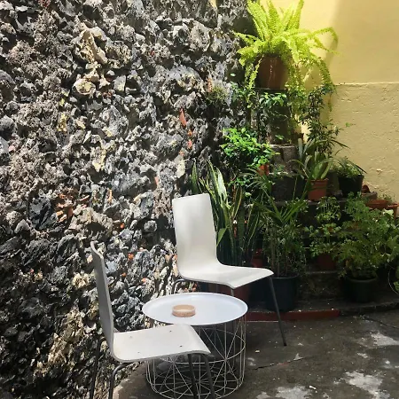 Vandrarhem Funchal109 Hostel *